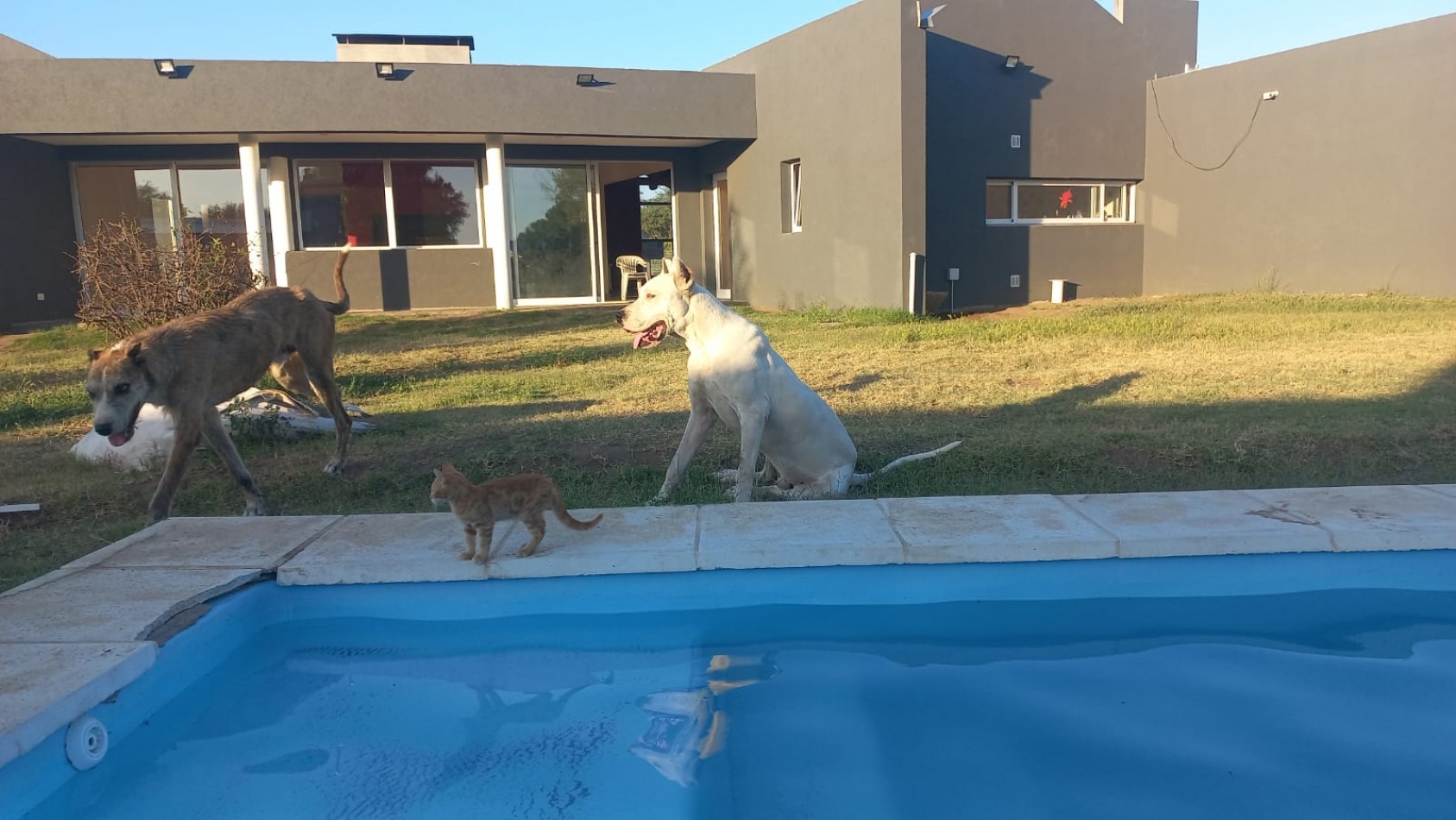Casquinta S/Ganzo 493 Toay 