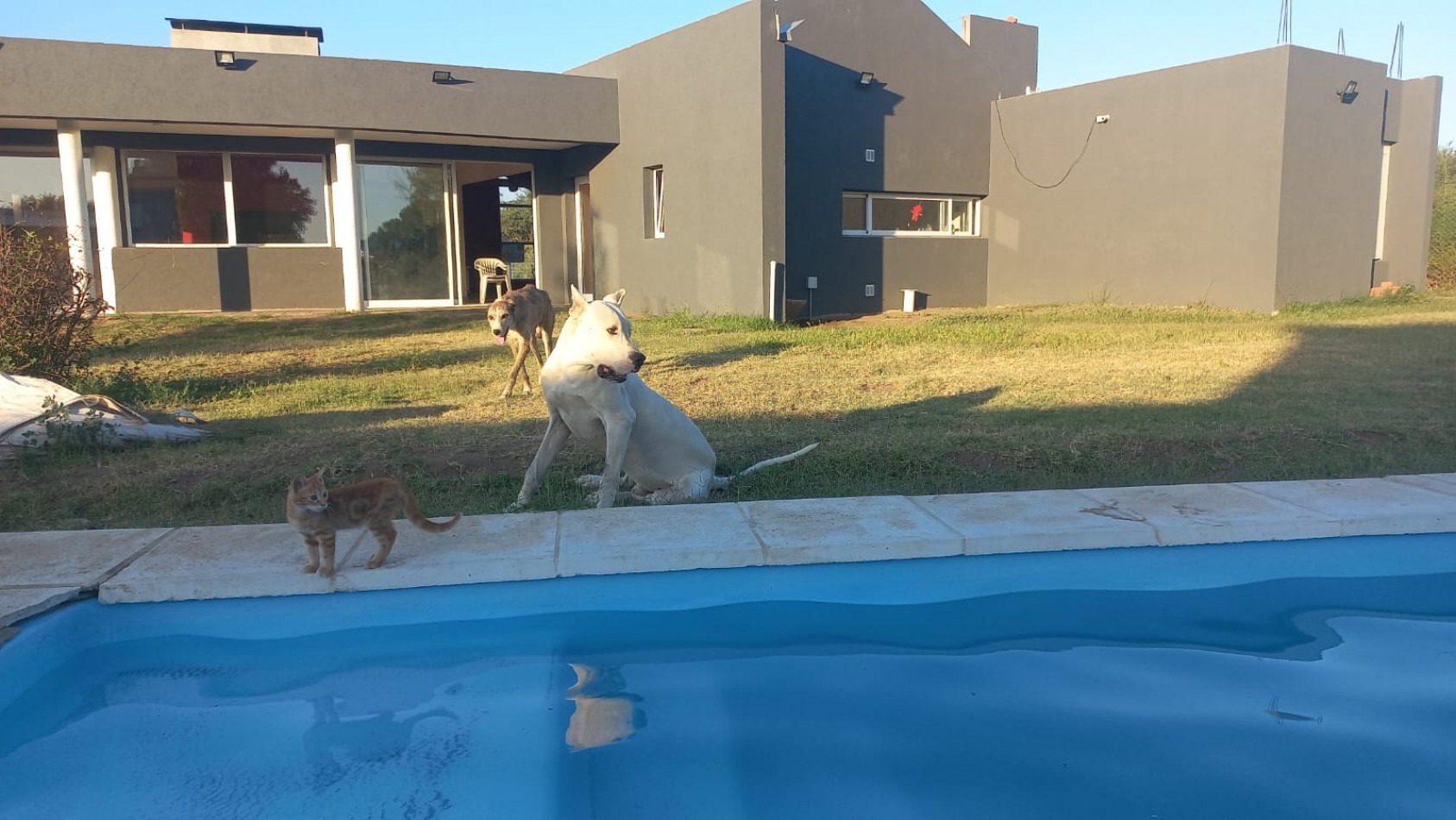 Casquinta S/Ganzo 493 Toay 