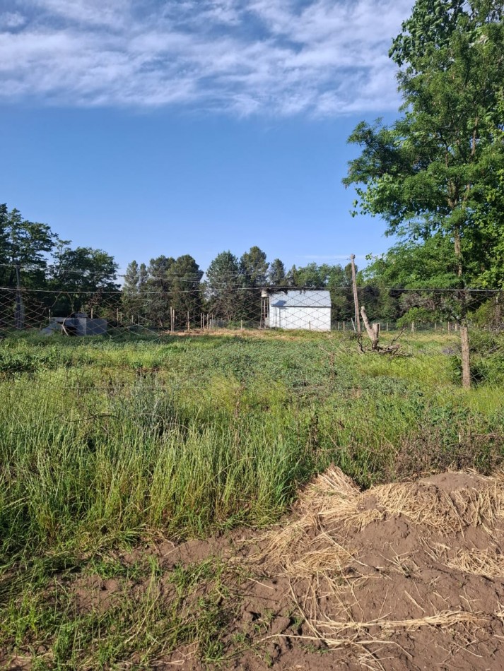 S/Horacio del Carril  a 30 mts Av.Peron