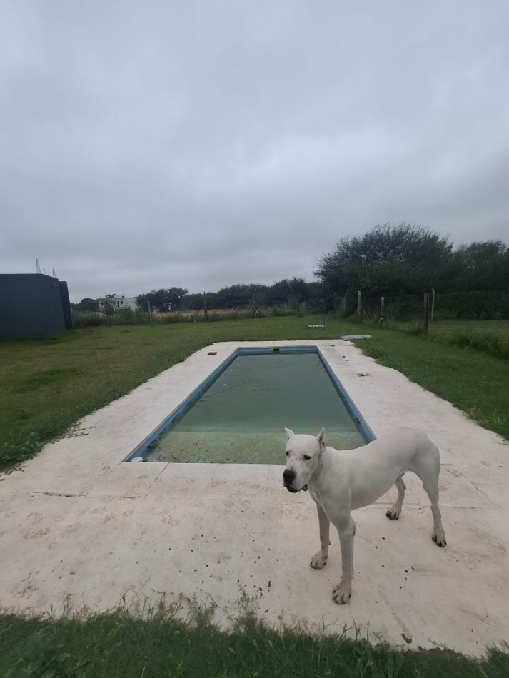 Casquinta S/Ganzo 493 Toay 