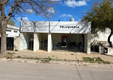 Venta casa Winifreda